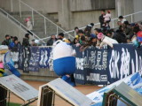 img0007.jpg