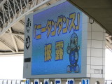 img0003.jpg