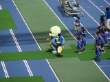 img0004.jpg
