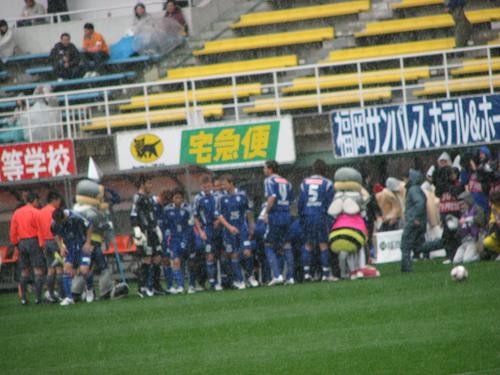 img0011.jpg