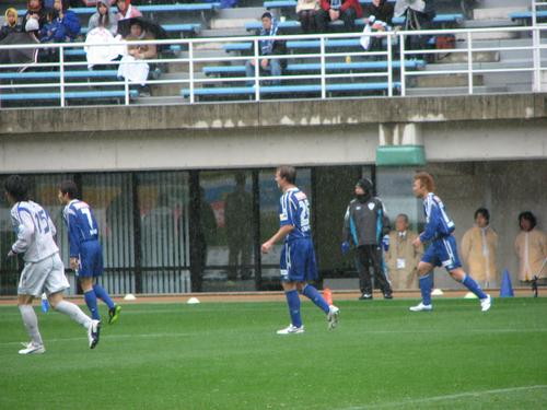 img0050.jpg