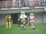 img0100.jpg