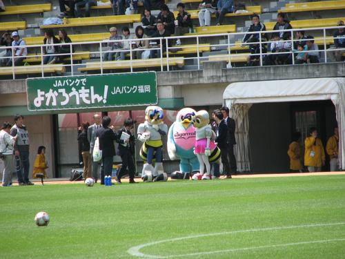 img0018.jpg