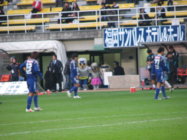 img0035.jpg
