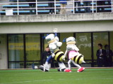 img0275.jpg