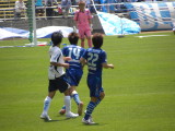 img0036.jpg