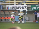 img0021.jpg