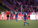 img0133.jpg