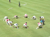 img0003.jpg