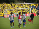 img0010.jpg