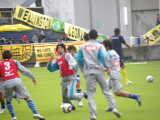 img0017.jpg
