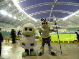 img0003.jpg