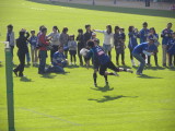 img0003.jpg