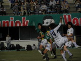 img0245.jpg