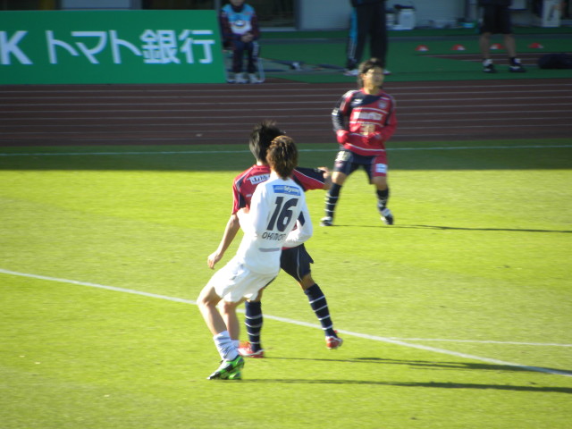 img0229.jpg