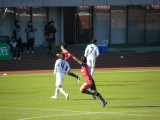 img0113.jpg